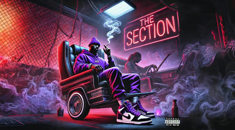 Skipper - The Section
