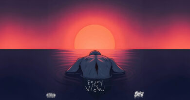 Stray - Enjoy the View