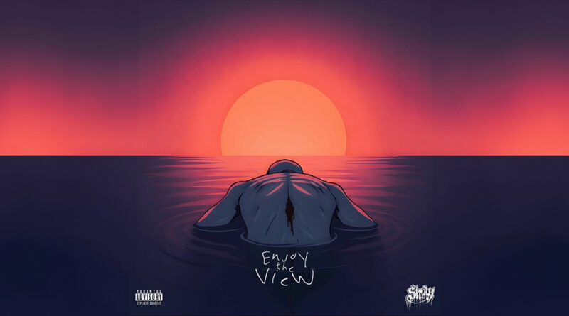 Stray - Enjoy the View