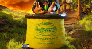 Anwar Carrots - Soil