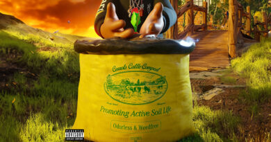 Anwar Carrots - Soil