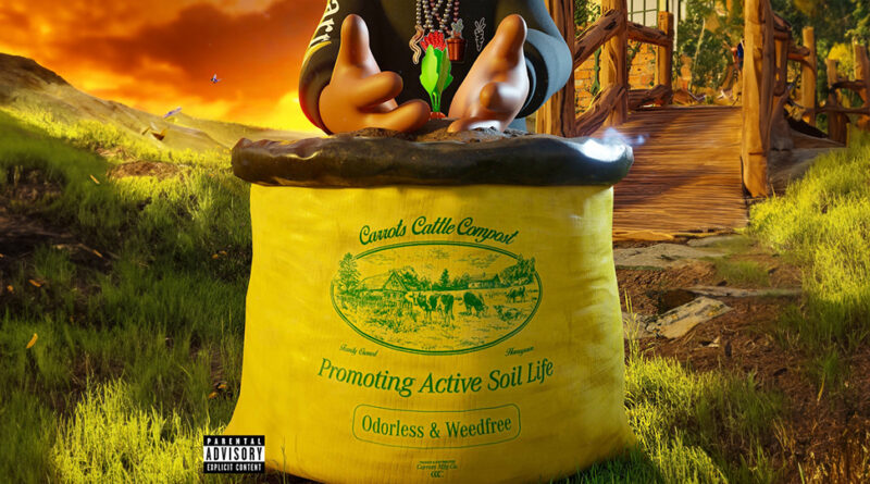 Anwar Carrots - Soil