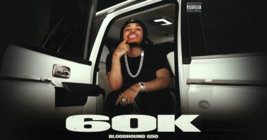 Bloodhound Q50 – 60k Bloodhound Q50 - 60k
