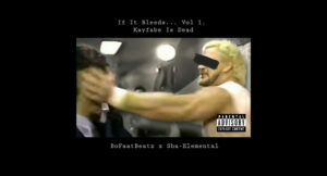 Bofaatbeatz & Sha-Elemental - If It Bleeds..., Vol. 1 Kayfabe Is Dead