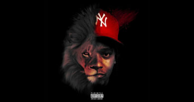 Chase Fetti - IL Leone