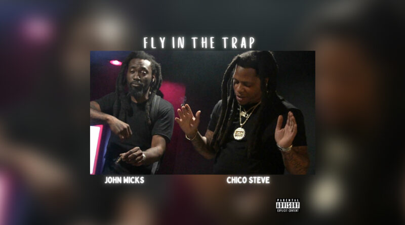 Chico Steve - Fly In the Trap