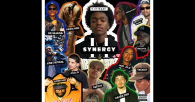 D.Etienne - Synergy 2