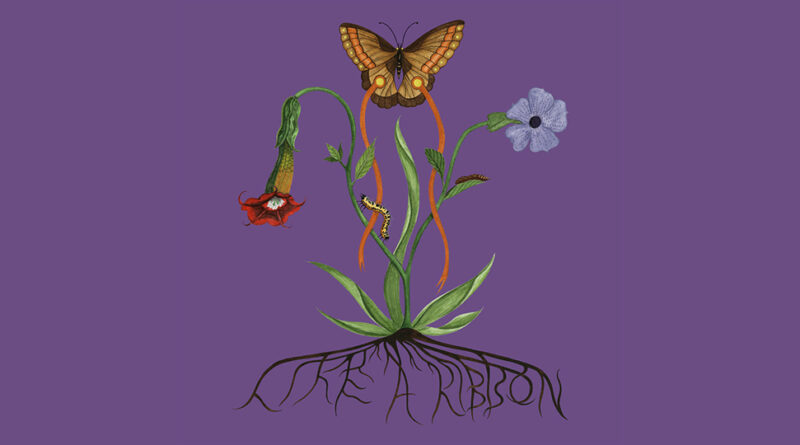 John Glacier - Like A Ribbon (Deluxe)