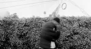 Mick Jenkins - 456 Semm