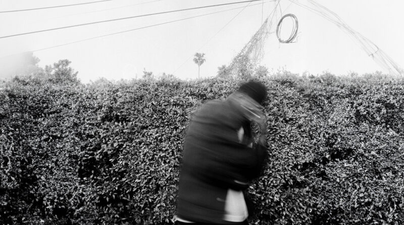 Mick Jenkins - 456 Semm