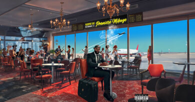 Passport Rav & RoadsArt - Premiere Mileage