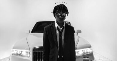 Reign - Stress