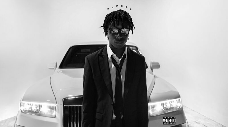 Reign - Stress