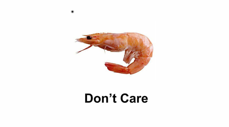 Shotgun Willy - Don't Care