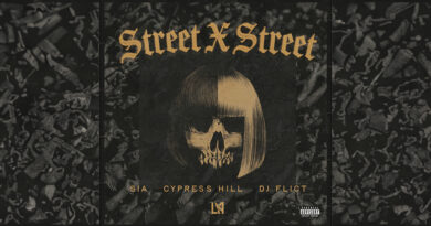 Sia, Cypress Hill & DJ FLICT - STREET X STREET