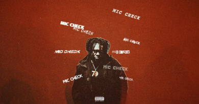 Tfemi - MIC CHECK