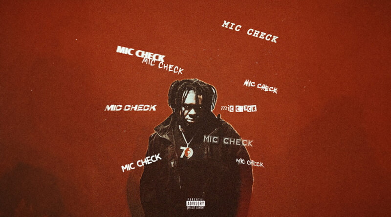 Tfemi - MIC CHECK