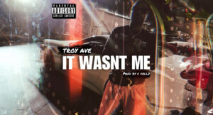Troy Ave - It Wasn't Me