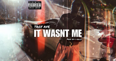 Troy Ave - It Wasn't Me