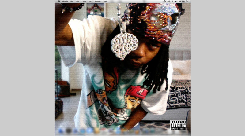 310babii - webkam