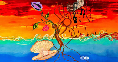 BLUEHILLBILL - Marbles Island
