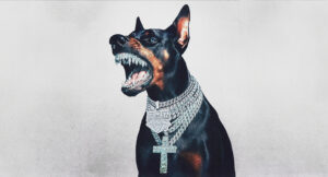 Connie Diiamond - Underdog Szn 2