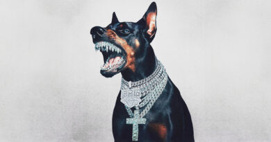 Connie Diiamond - Underdog Szn 2