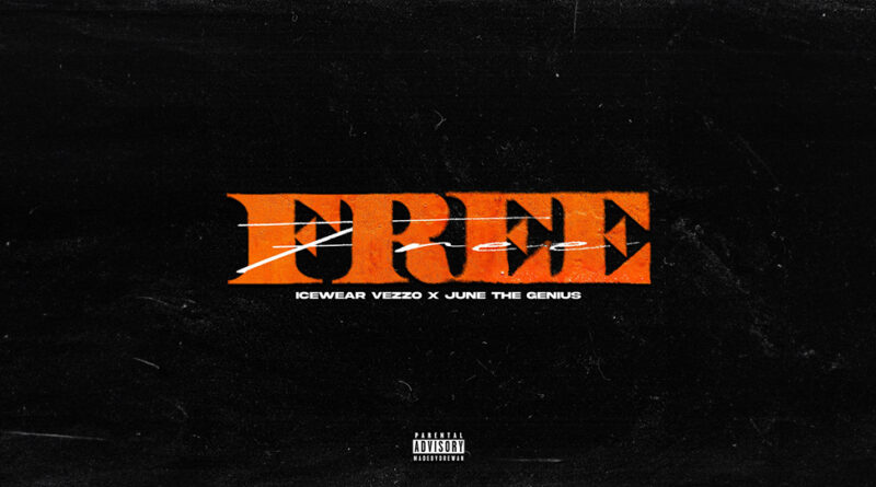 Icewear Vezzo - FREE