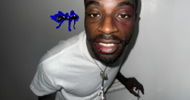 Kwame Adu - Black Ant 2.5