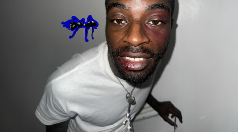 Kwame Adu - Black Ant 2.5