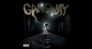 LAZER DIM 700 - GANGWAY