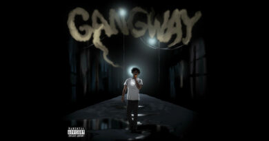 LAZER DIM 700 - GANGWAY