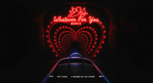 NTG - Whatever for You (Remix)