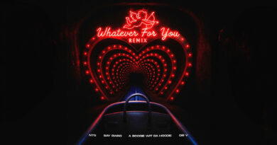 NTG - Whatever for You (Remix)