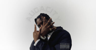 Novelist - AUDACITY