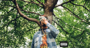 Vic Spencer - Trees Are Undefeated