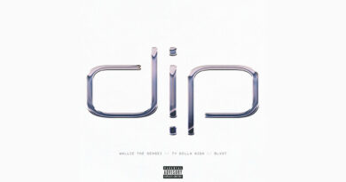 Wallie the Sensei - Dip