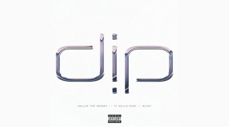 Wallie the Sensei - Dip