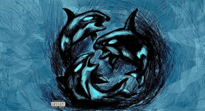 Warden.wav - KILLER WHALE