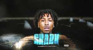 YoungBoy Never Broke Again - Shark
