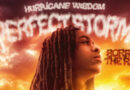 Hurricane Wisdom – Perfect Storm: Sorry 4 The Rain Hurricane Wisdom - Perfect Storm Sorry 4 The Rain
