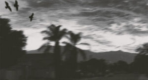 Banditdamack - Nothings Wrong