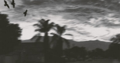 Banditdamack - Nothings Wrong