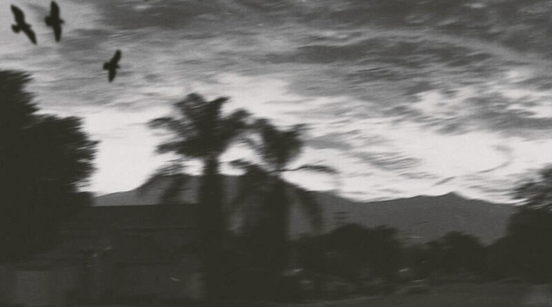 Banditdamack - Nothings Wrong