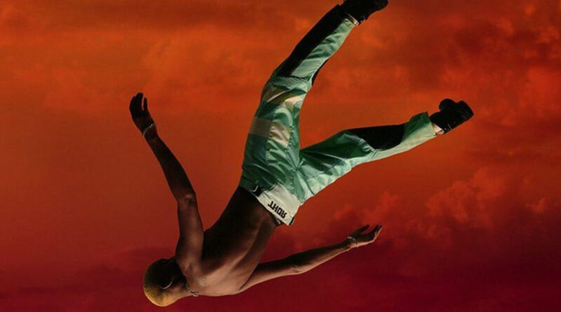 Bloodhound Q50 - Bodies