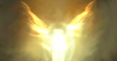 Dave - The Boy Who Played the Harp