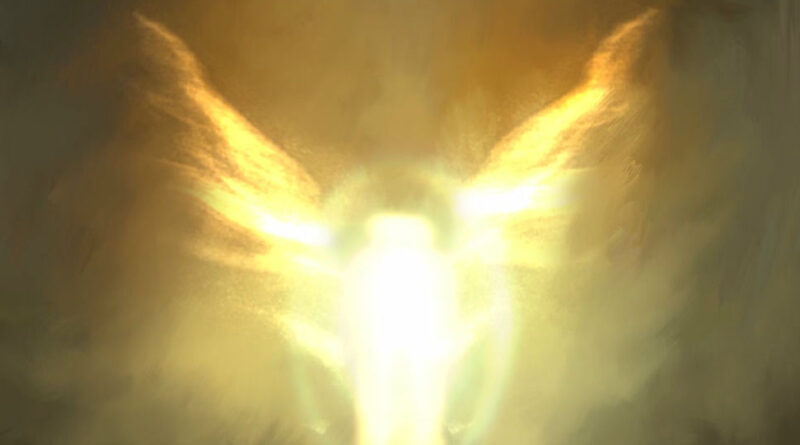 Dave - The Boy Who Played the Harp