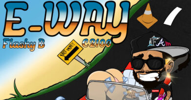 Flashy B - The E-Way