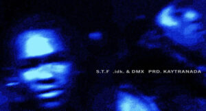 IDK & Dmx - START TO FiNiSH - S.T.F