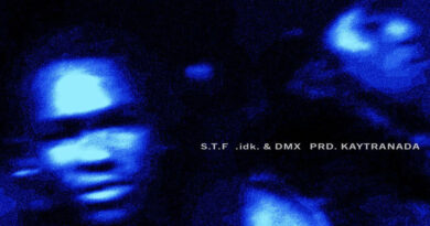 IDK & Dmx - START TO FiNiSH - S.T.F
